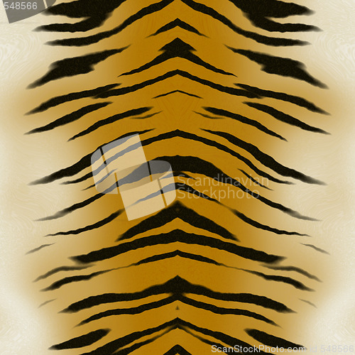 Image of tiger skin