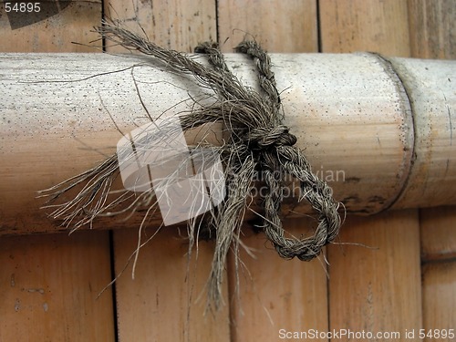 Image of Bamboo wood fence