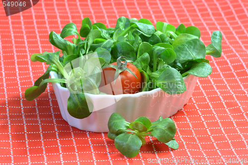 Image of Corn salad