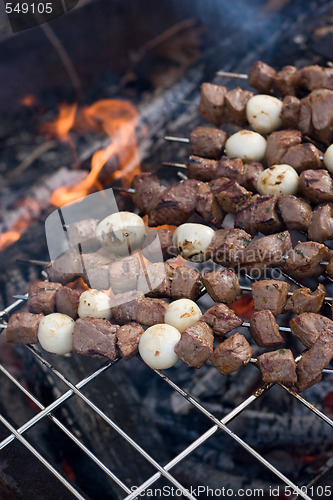 Image of Shish Kebabs