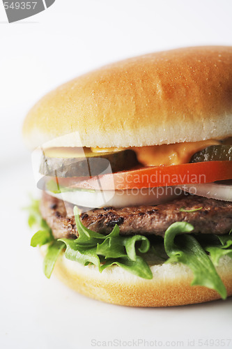 Image of Tasty burger