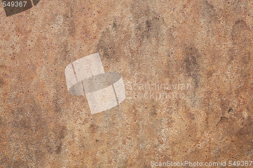 Image of Rusty
