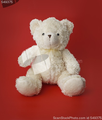 Image of Teddy