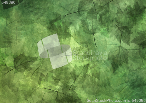 Image of Leaf background