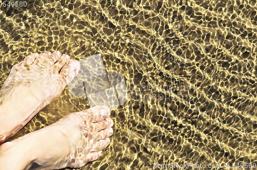 Image of Feet in shallow water