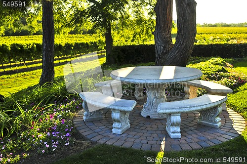 Image of Benches overlooking vineyard