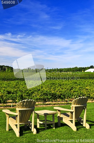 Image of Chairs overlooking vineyard