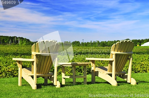 Image of Chairs overlooking vineyard