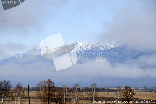 Image of Sajany 10