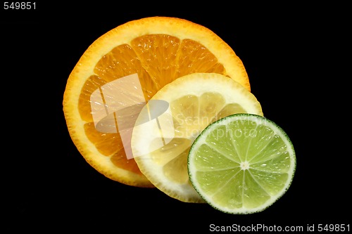 Image of Citrus Slices
