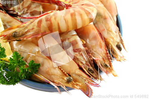 Image of Fresh Green Shrimps