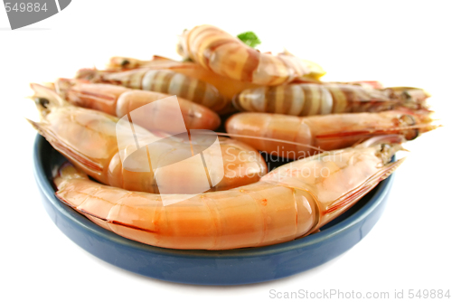 Image of Fresh Green Shrimps