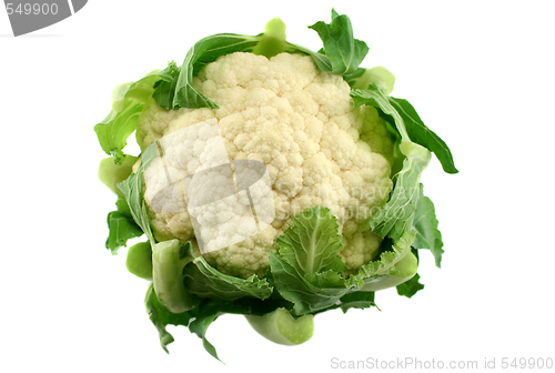 Image of Fresh Cauliflower 3