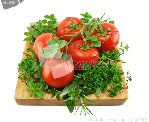 Image of Tomatoes And Herbs