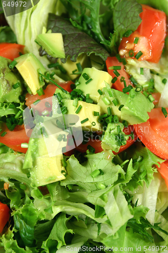 Image of Fresh Avocado Salad