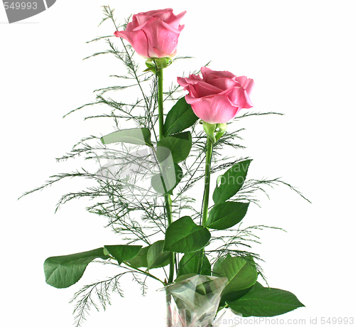 Image of Gift Roses 4