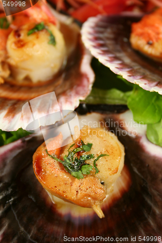 Image of Pan Fried Scallops