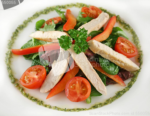 Image of Chicken Pesto Salad