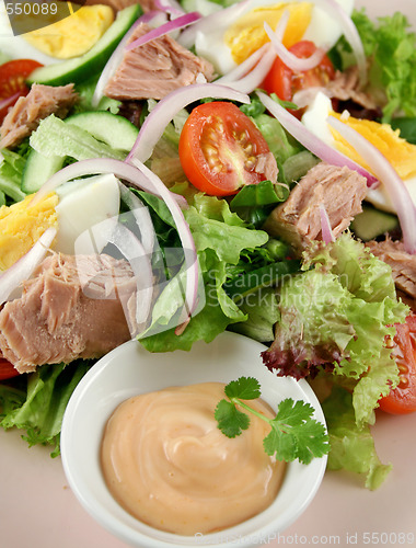 Image of Tuna Salad And Dip