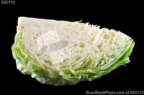 Image of Fresh Cabbage 1