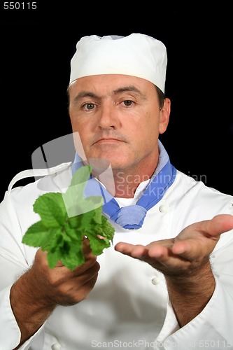 Image of Herb Chef 2