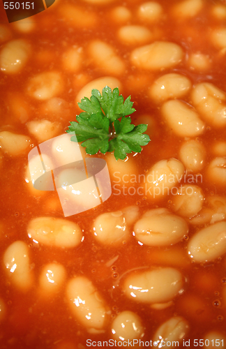 Image of Parsley In A Sea Of Baked Beans