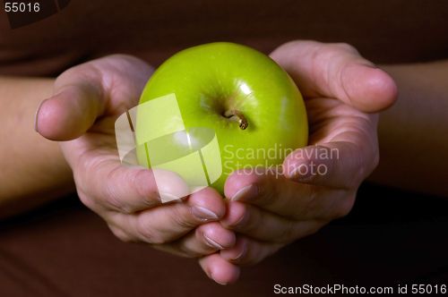 Image of Green Apple