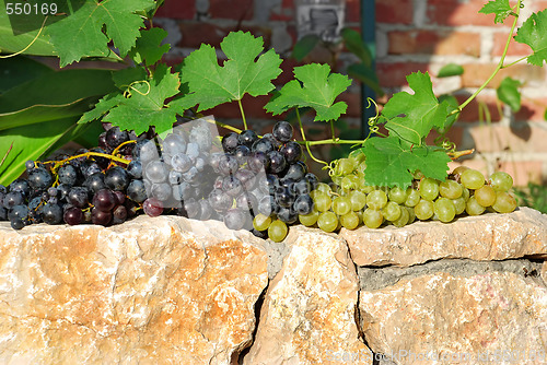 Image of grapes over stone fence