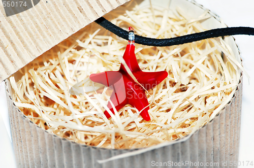 Image of red starfish necklace