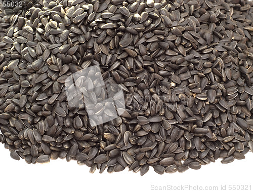 Image of black sunflower seeds