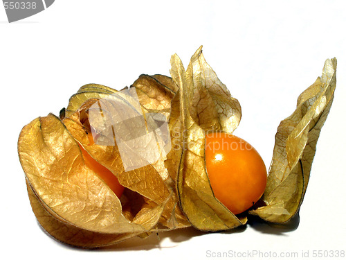 Image of cape gooseberry