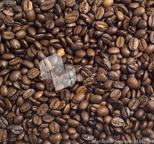 Image of coffee beans background