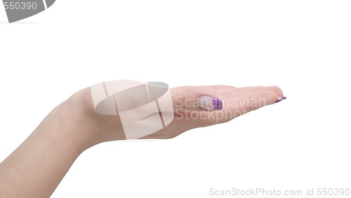 Image of female hand