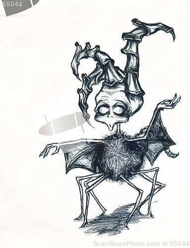 Image of ARAÑA (spider)