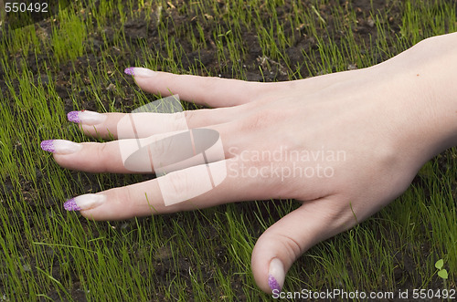 Image of hand on sprouts