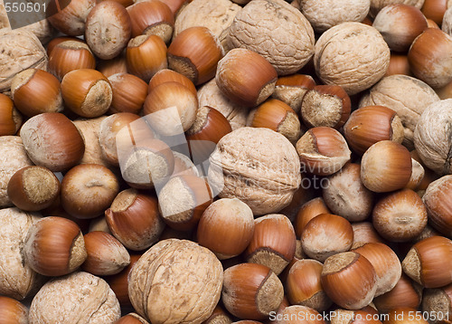 Image of hazelnuts and walnuts