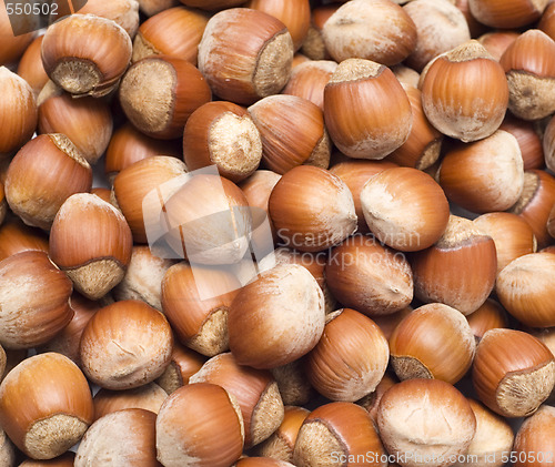 Image of hazelnuts