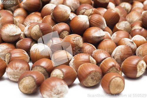 Image of hazelnuts over white