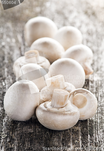 Image of champignon