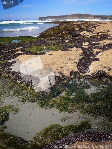 Image of Rockpools