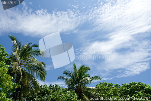 Image of Tropical sky