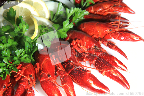 Image of Fresh seafood with herb and lemon on a plate