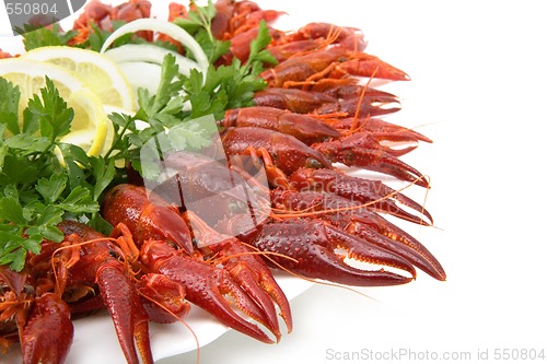 Image of Fresh seafood with herb and lemon on a plate