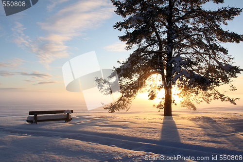 Image of park bench covered with snow 