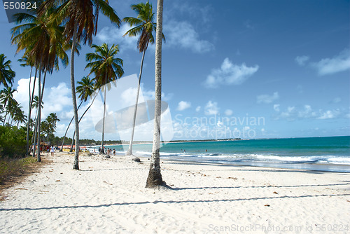 Image of Tropical beach in Brazil 