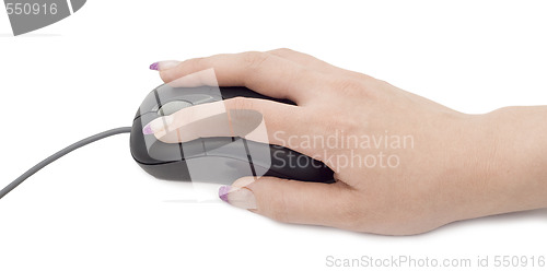 Image of mouse in hand