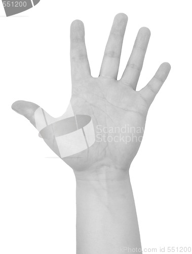 Image of open male hand