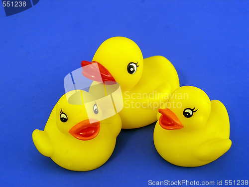 Image of rubber ducks