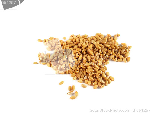 Image of Wheat