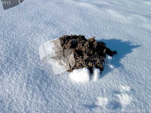 Image of Mole hill in winter